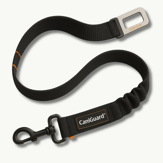 CaniGuard™ – Ceinture de sécurité pour chien